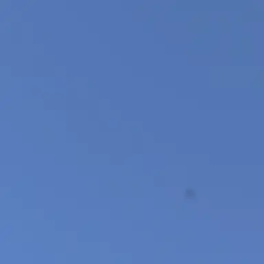 Profile image of 여우