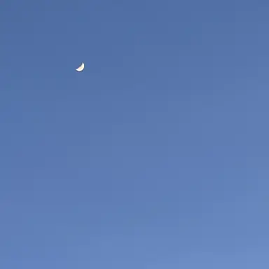 Profile image of 늑대