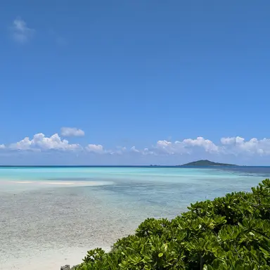 Profile image of MECHATU-A