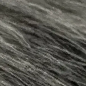 Profile image of 제트