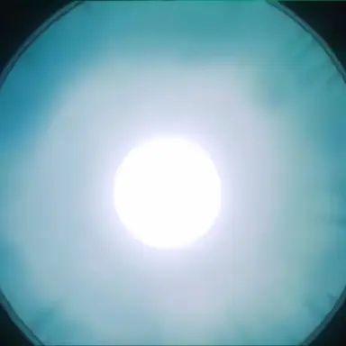 Profile image of 선영