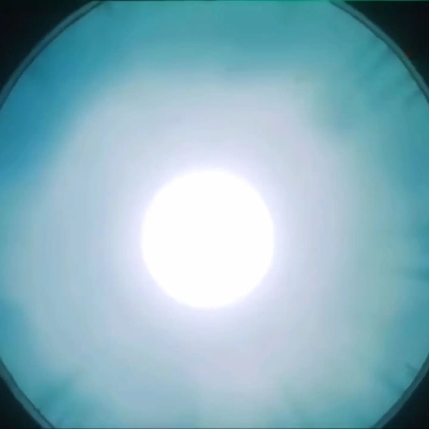 WindyCat3465의 백룸 속의 그녀