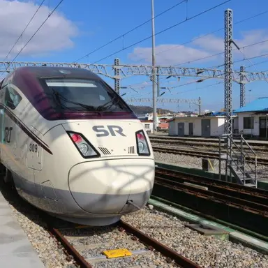 Profile image of SRT