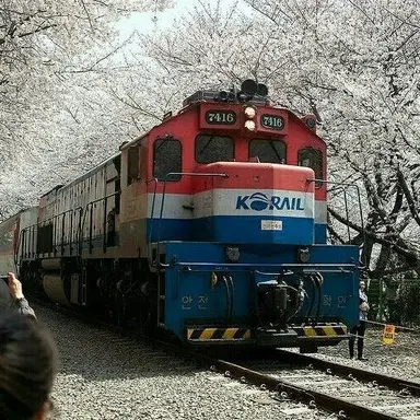 Profile image of 7100호대