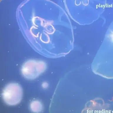 Profile image of 아이소