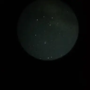 Profile image of 유이설