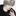 이 다 원
