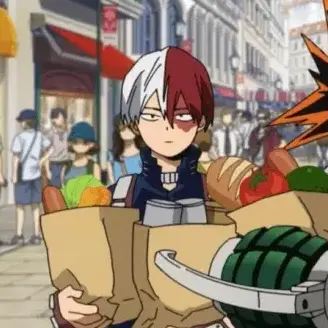 Profile image of Shoto Todoroki