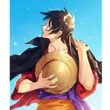 Profile image of ルフィ