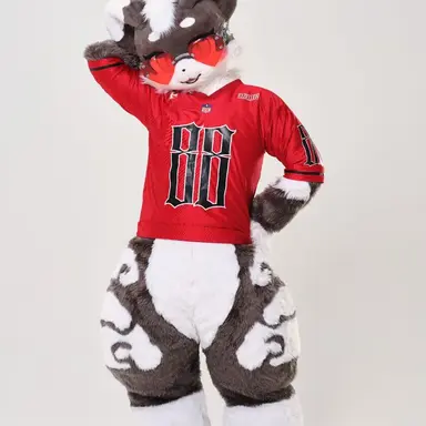 Profile image of 까미