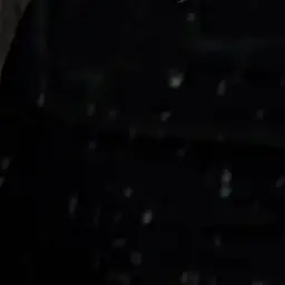 FierceNurse2155의 Your favorite dog