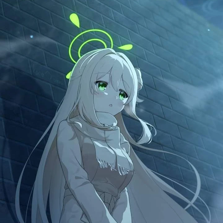 노노미