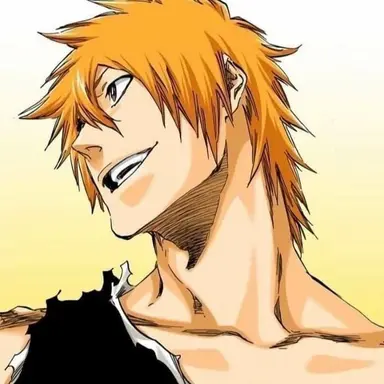 Profile image of Ichigo Kurosaki
