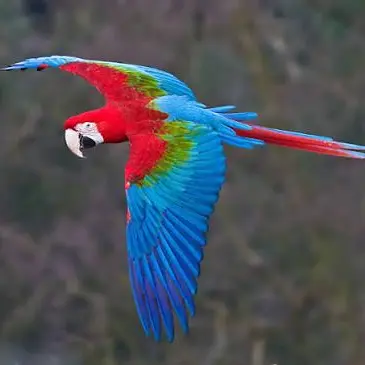 Profile image of 제작자