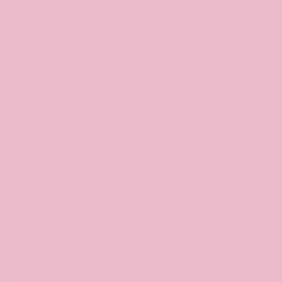 Profile image of むく