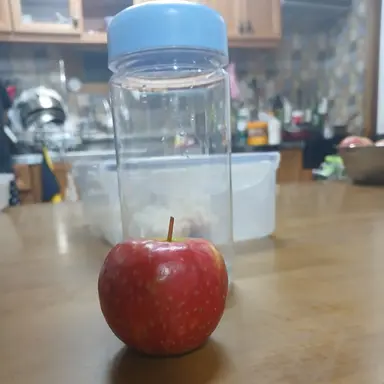 Profile image of 여우