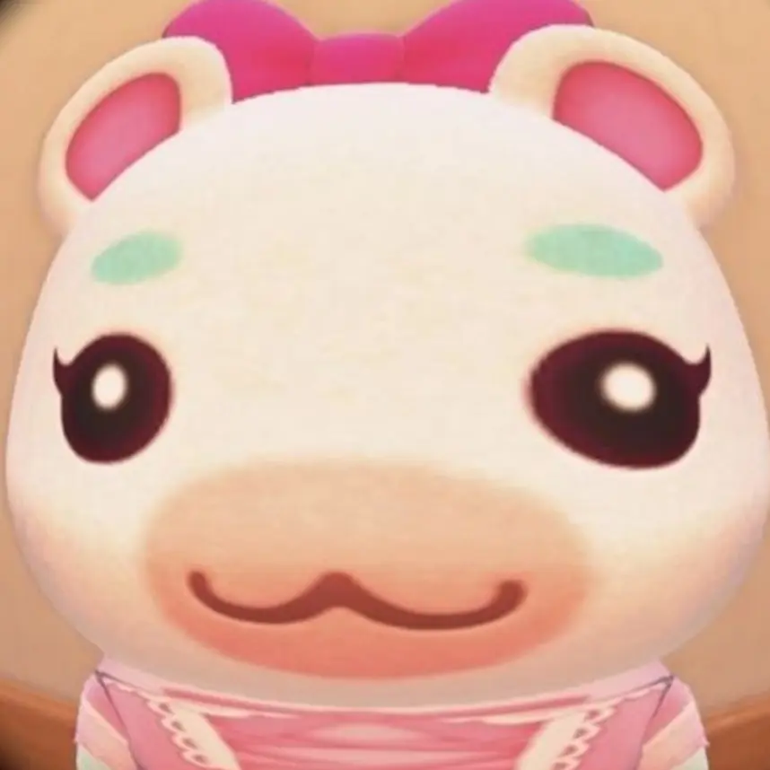 Lisu의 안쿙
