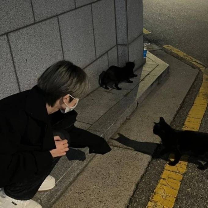 강태현