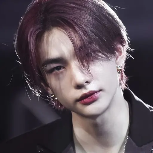 Skz_stay.의 황현진