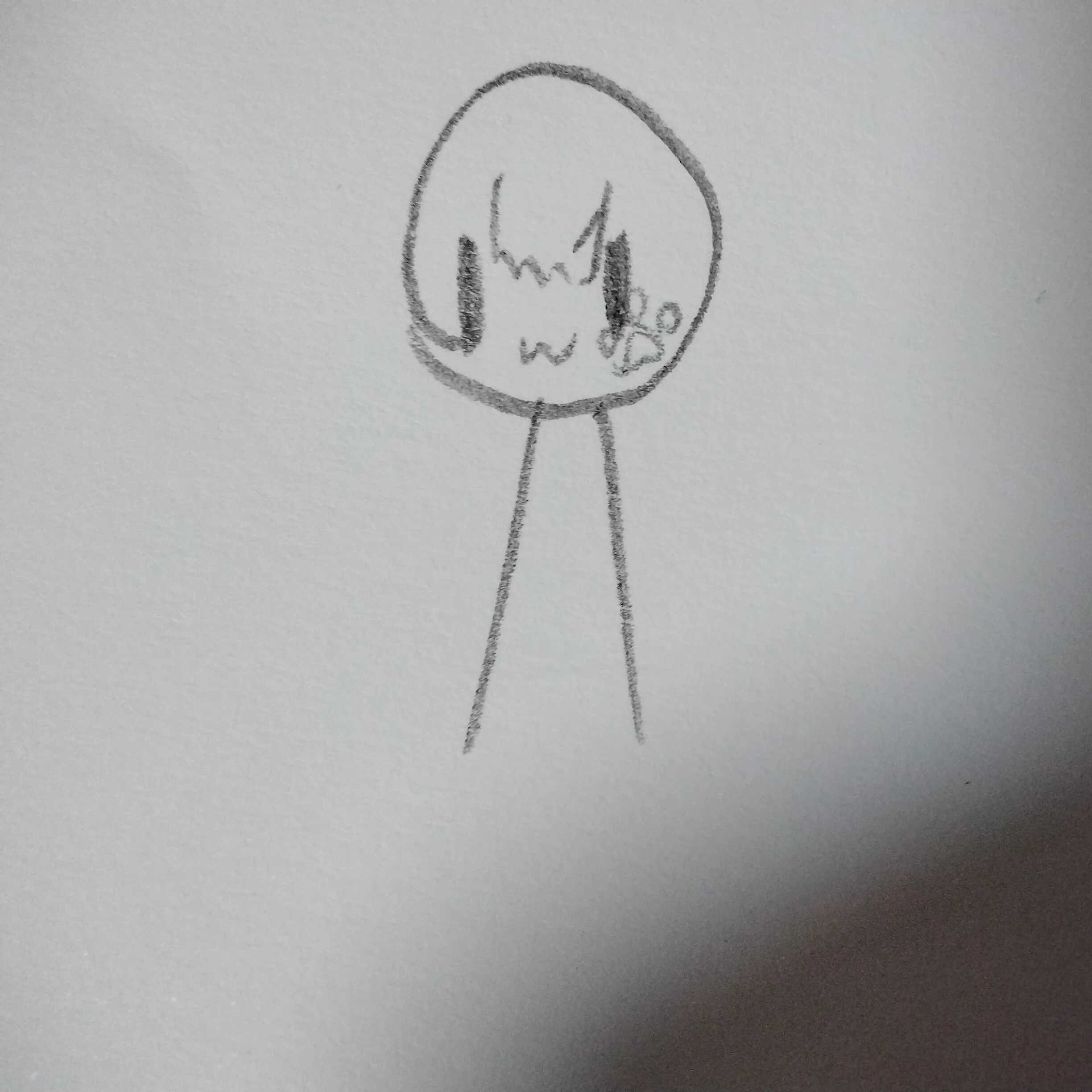 로퍼
