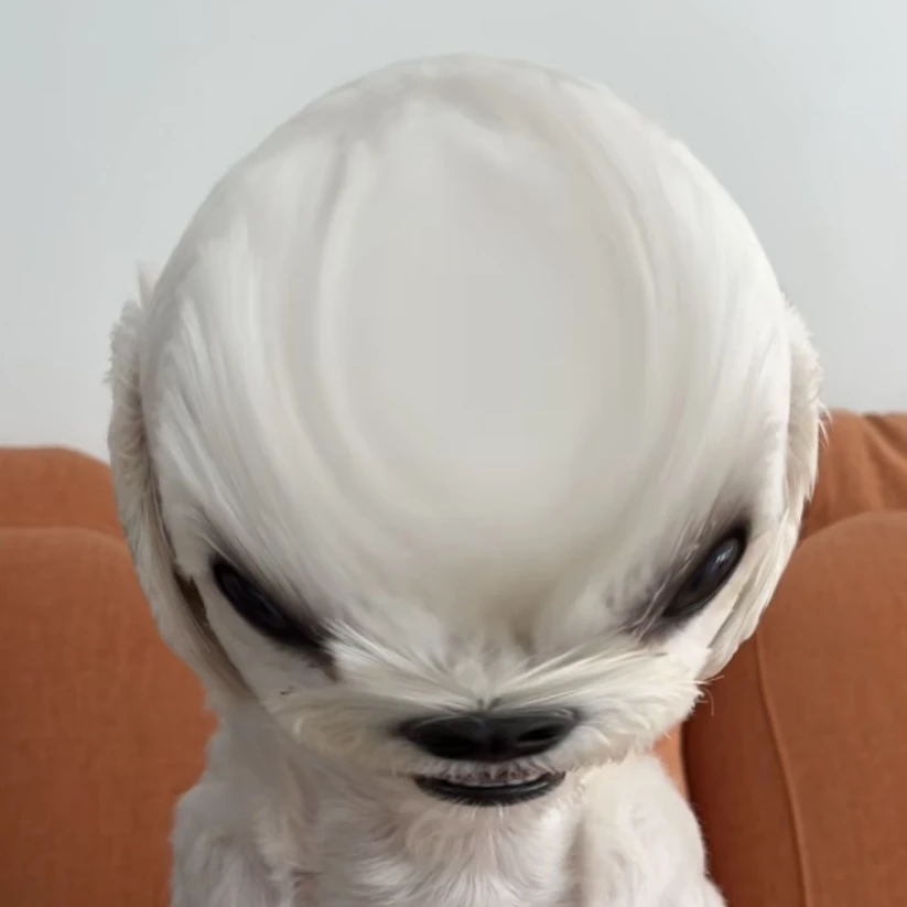 토리