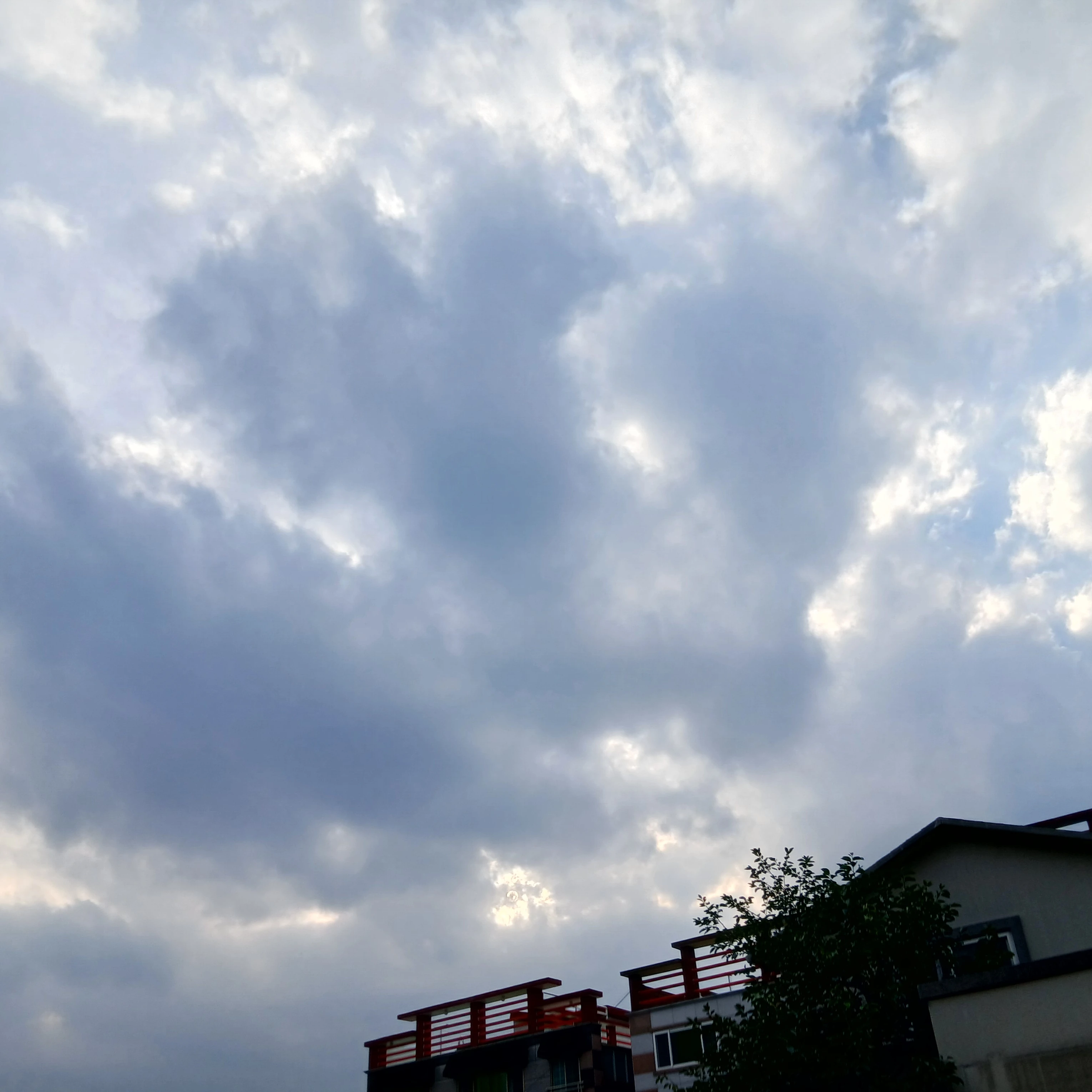 고고프랜즈 여우꾀병