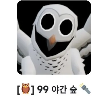 WellChunk2828의 99나이트 올빼미