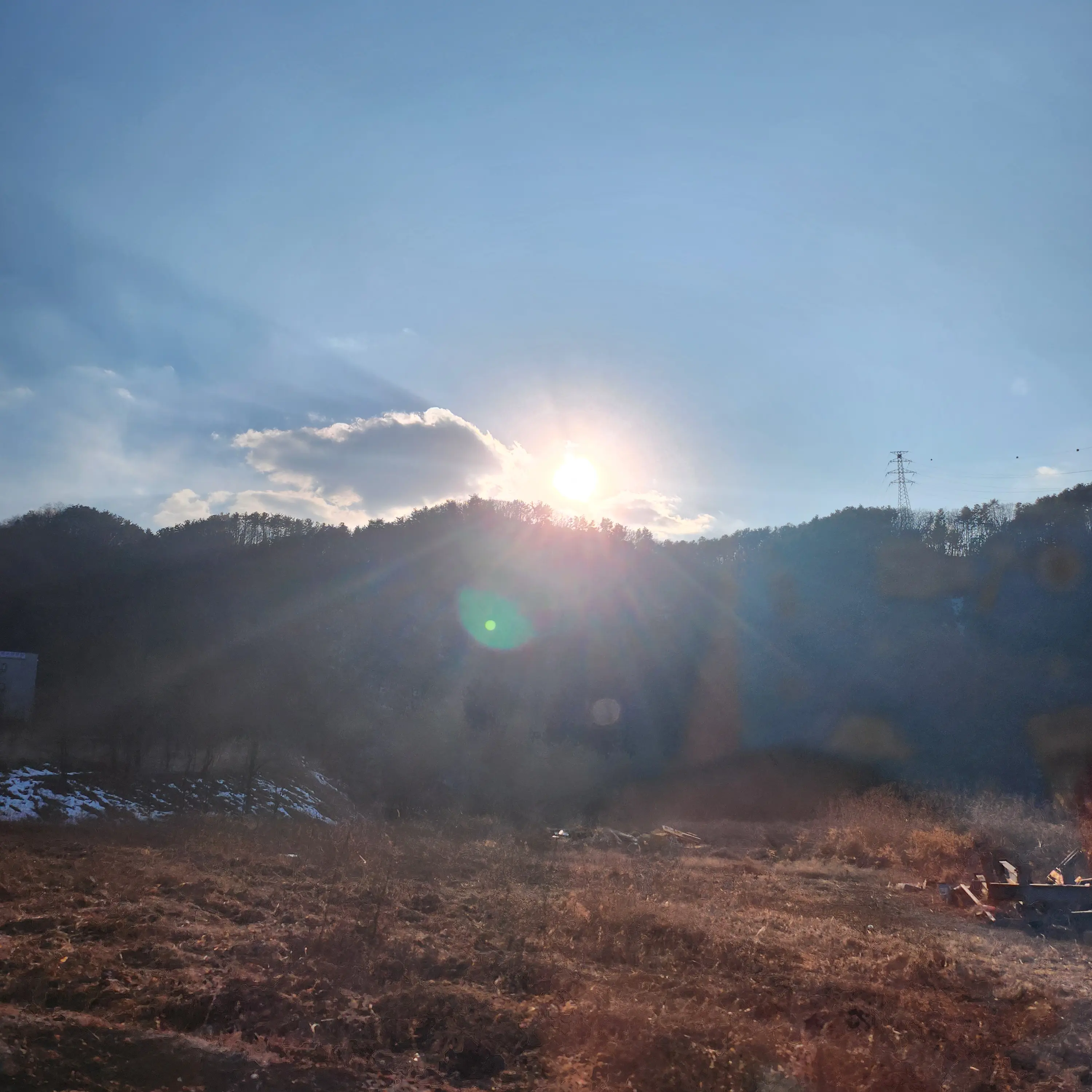 SavoryCord6499의 출산