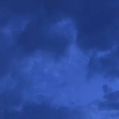 Profile image of 행크