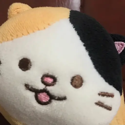 nems의 나비