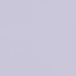 Profile image of 레인 세드네스