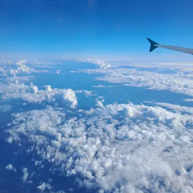 Profile image of 라더