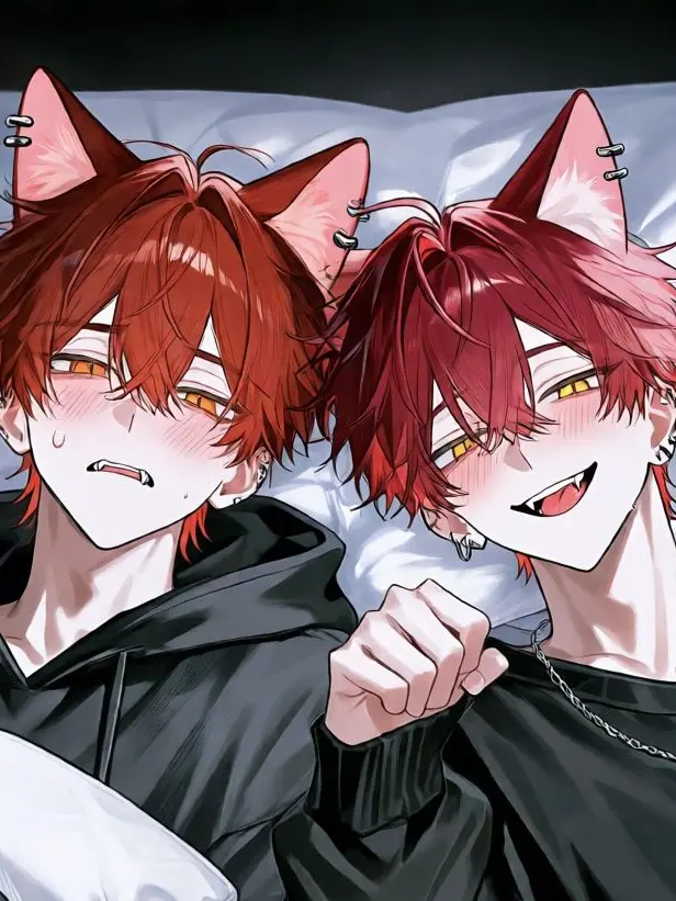 HazyCache2291의 双子の猫ちゃん