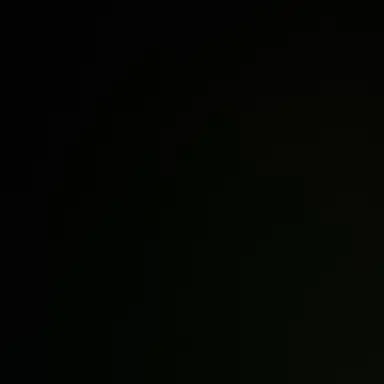 Profile image of 박 성 호