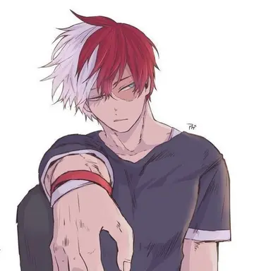 Profile image of Todoroki