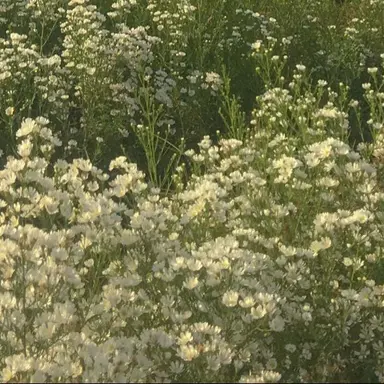 Profile image of 김주훈
