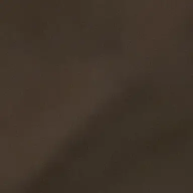 Profile image of Nugget