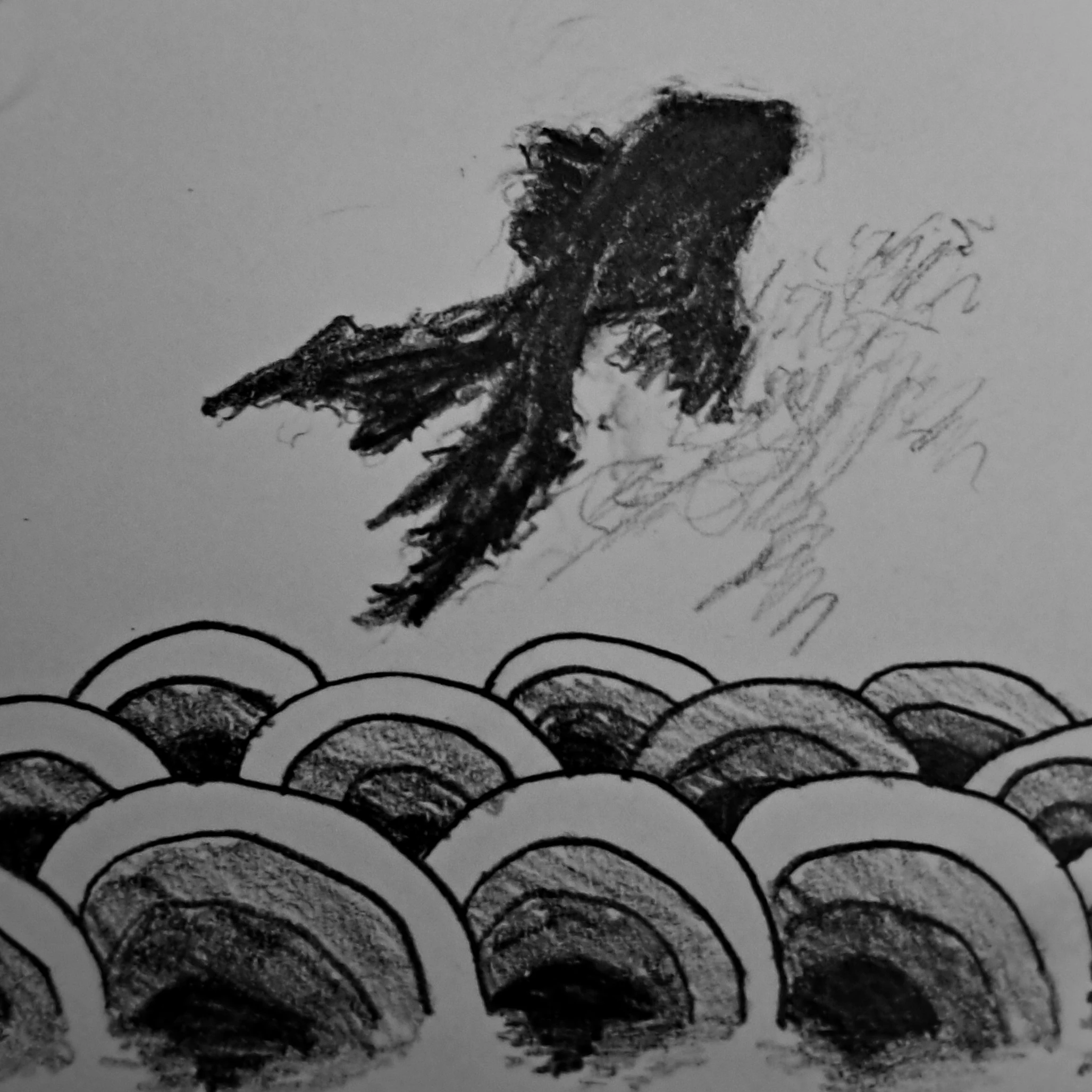 그림자