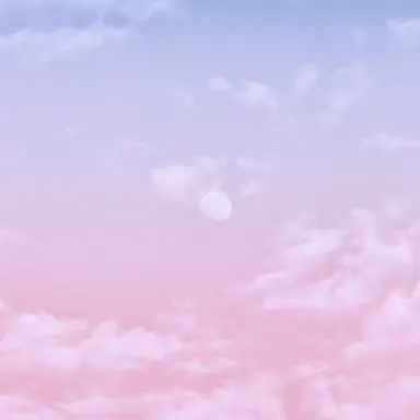 Profile image of 멜로우