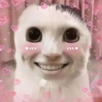 Profile image of 썩은 고양이