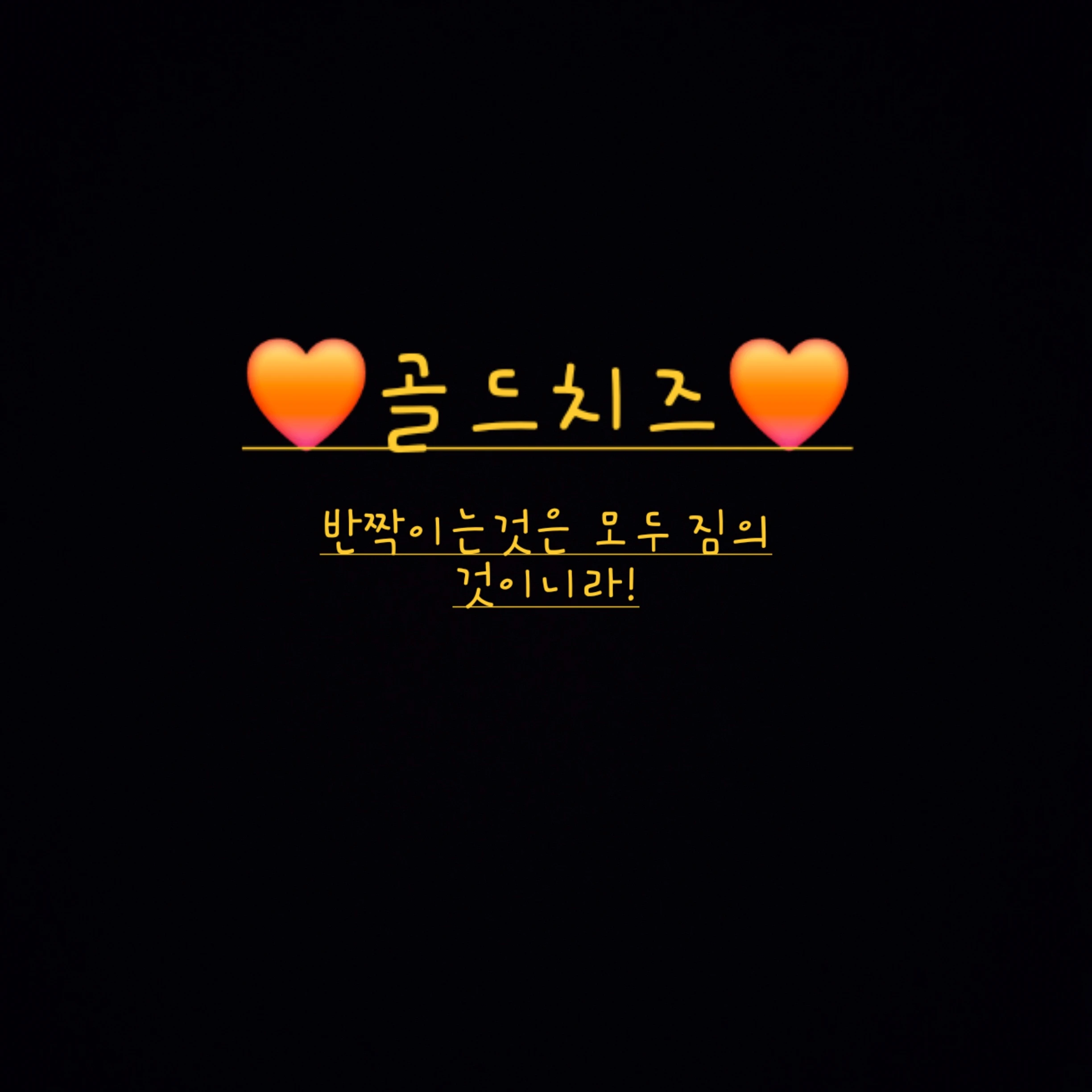 골드치즈