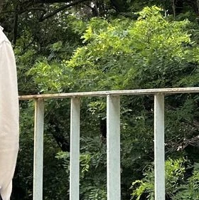모지혜