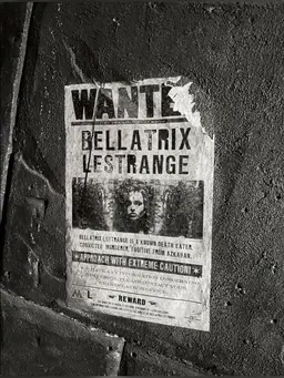 Profile image of Bellatrix