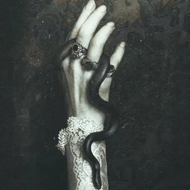 Profile image of Bellatrix