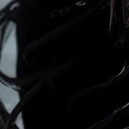 Rothel의 퓨어바닐라