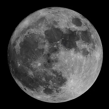 Profile image of 조로