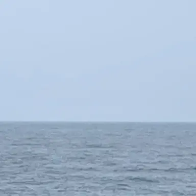 Profile image of 박재언