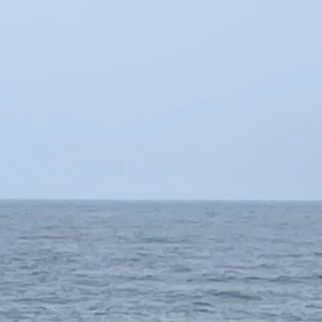 s00inn._2의 박재언