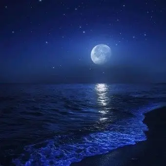 CozyHyena0323의 The Moon is Beautiful