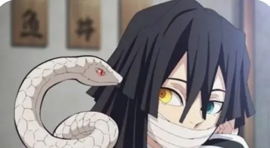 Profile image of Demon Slayer